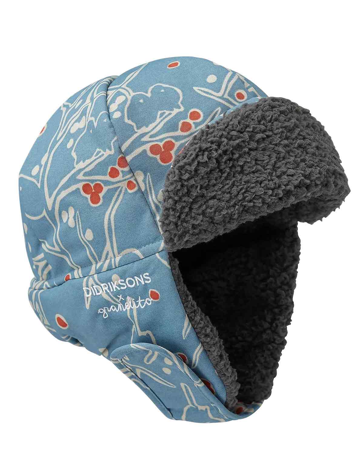 Шапка детская Didriksons BIGGLES PR 504481