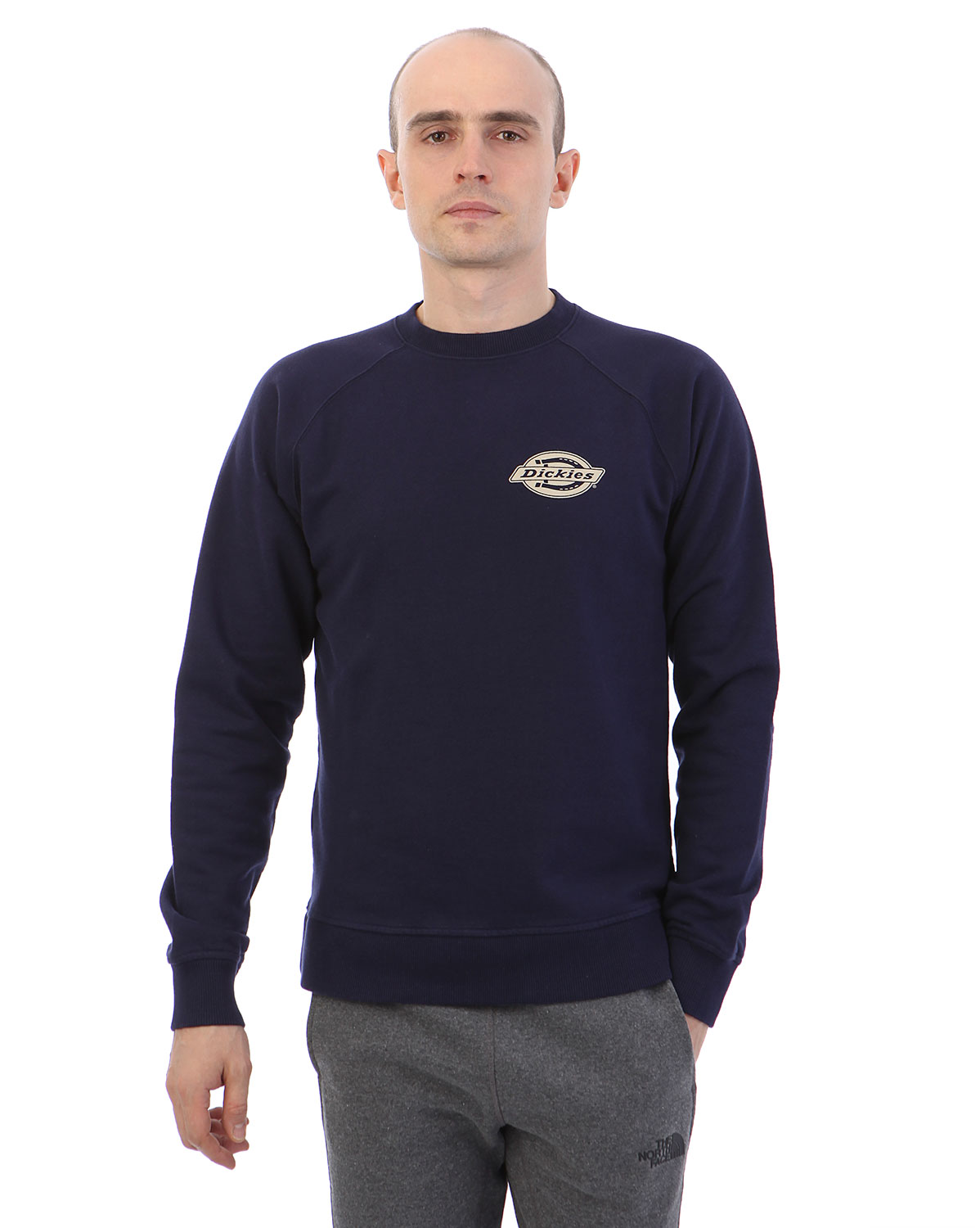 Толстовка мужская свитшот Dickies 1922 Briggsville