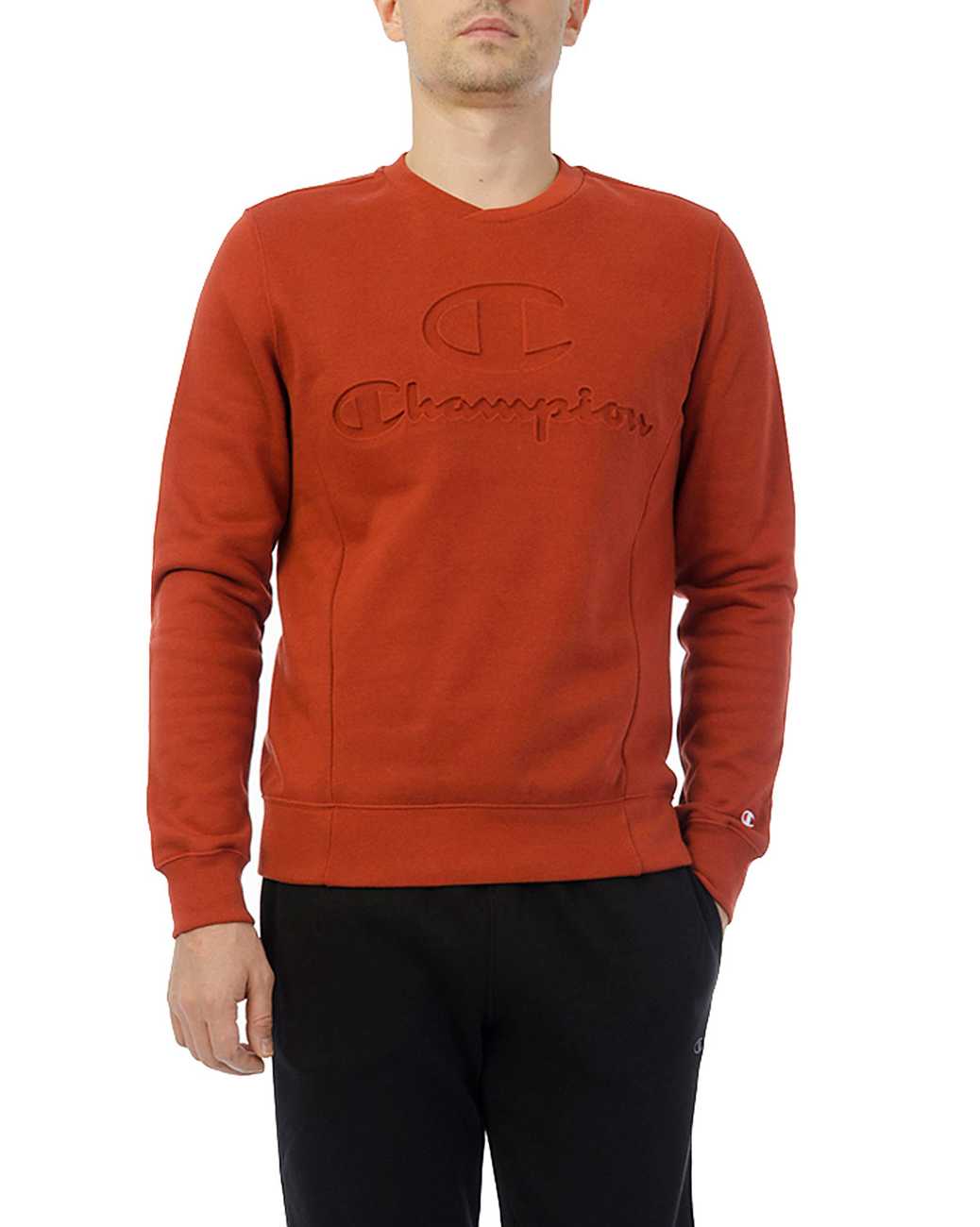 Толстовка свитшот Champion Authentic American RS044