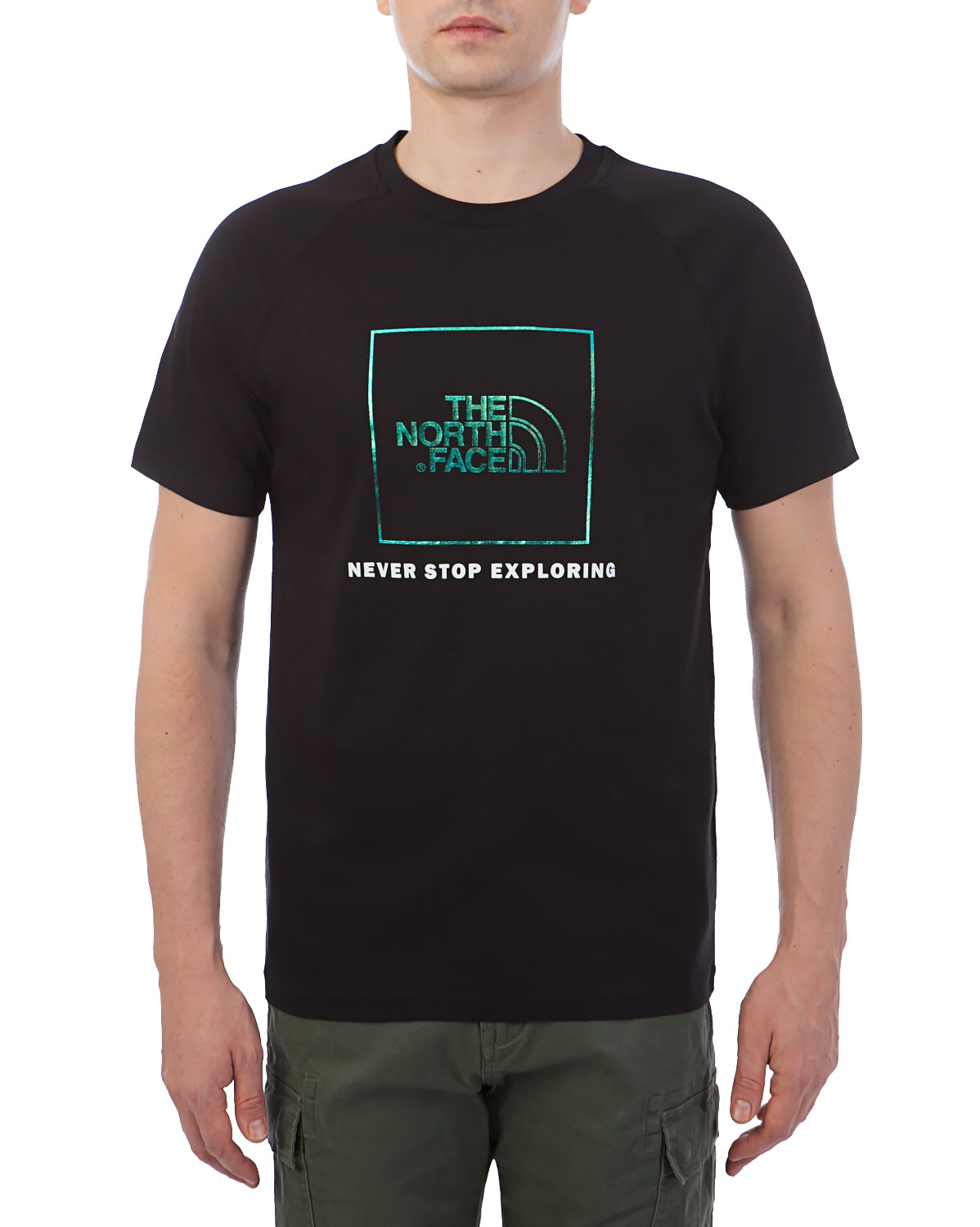 Футболка мужская The North Face Metallic Brand Print Iridiscent