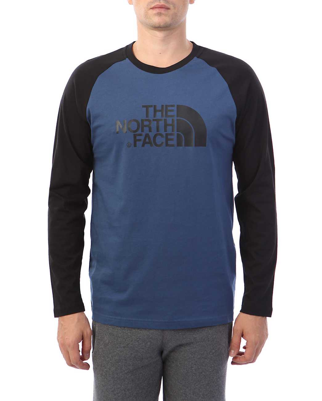 Лонгслив мужской The North Face T-Shirt 100