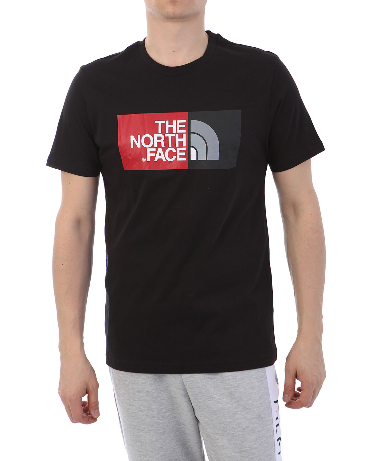 Футболка The North Face 000035527