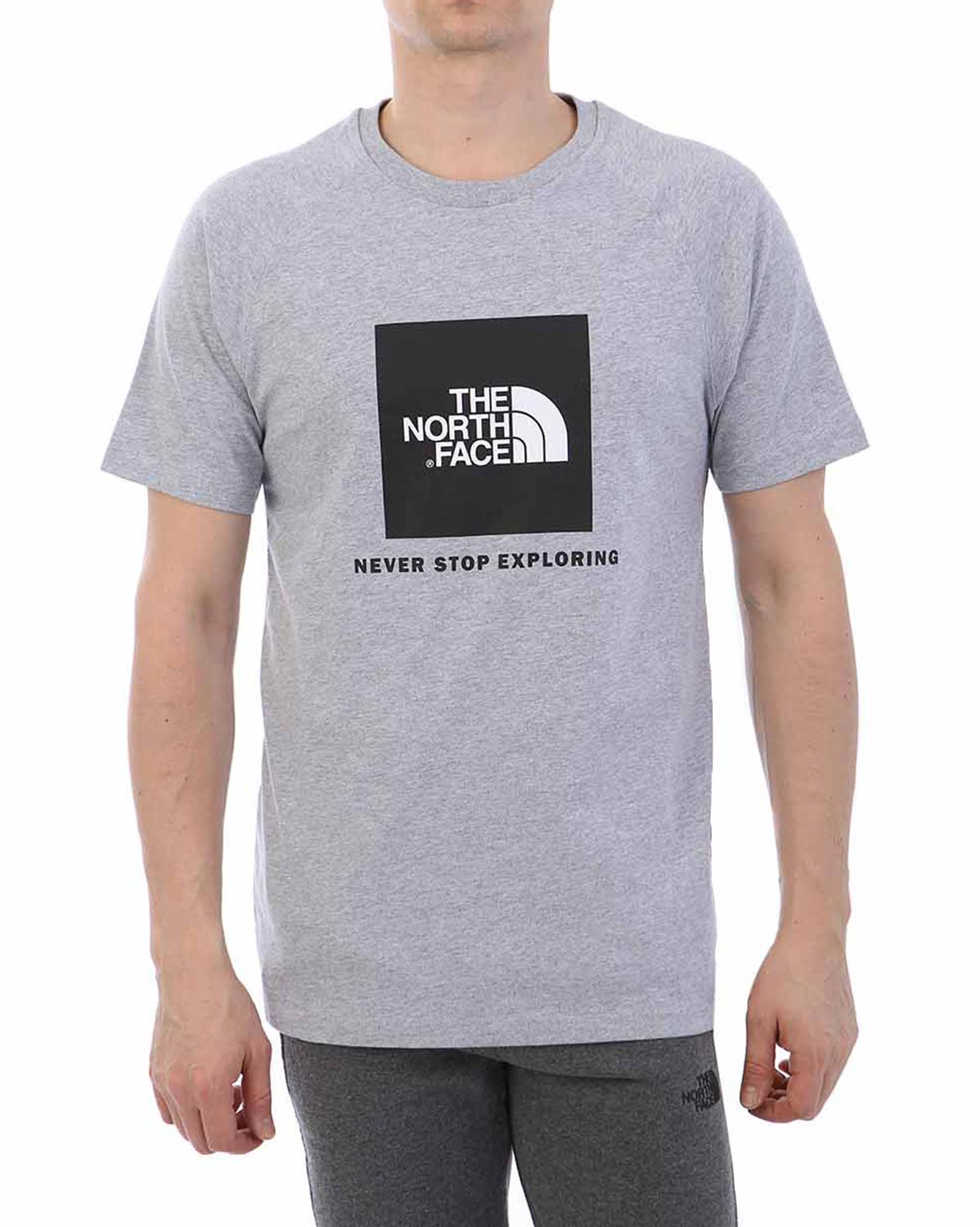 Футболка The North Face 000035509
