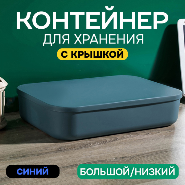 Контейнер АЛИ ЧАЙНА, SH179, 6.5 L (6.5 L синий низкий большой)
