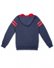 Толстовка Iriedaily Team Hoody (L синий)