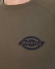 Толстовка мужская свитшот Dickies 1922 Briggsville (XS оливковый)