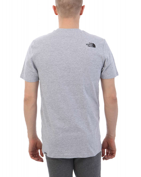 Футболка The North Face 000035512 (L серый золотой)