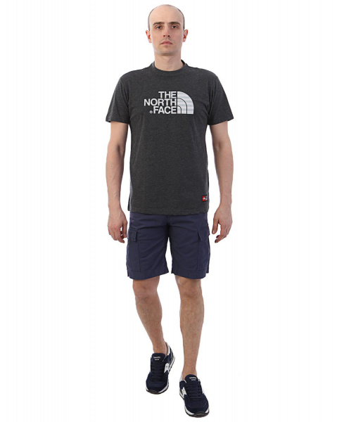 Футболка The North Face 000035695 000036739 000036743 (S серый золотой)