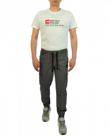 Джоггеры мужские Cool Penguin JMTL 1713 (Gray 4XL)