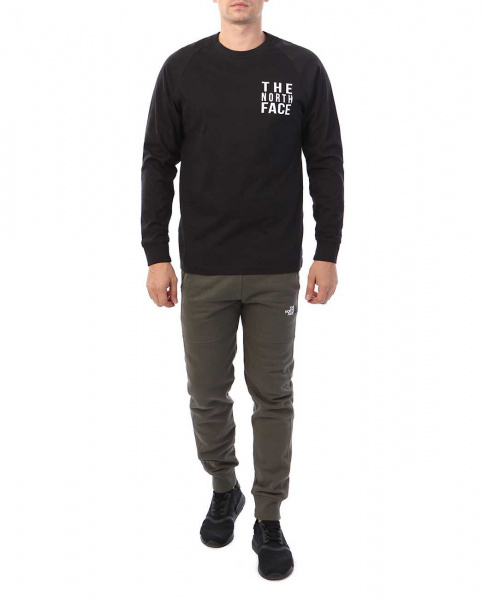 Лонгслив мужской The North Face NSE T-Shirt 100 (M черный)