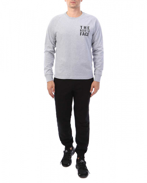 Футболка с длинным рукавом The North Face NSE T-Shirt Light Grey 90 10 (M серый светлый)