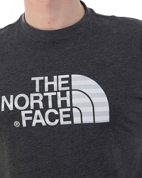 Футболка The North Face 000035695 000036739 000036743 (S серый золотой)