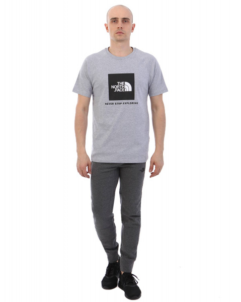 Футболка The North Face 000035509 (L серый золотой)