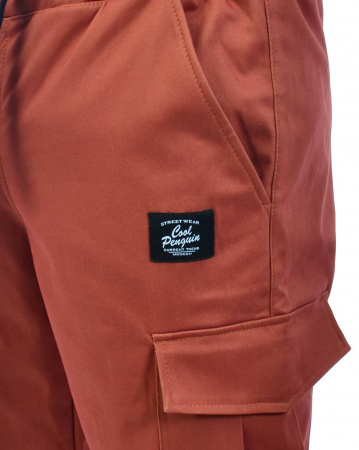Джоггеры мужские на флисе Cool Penguin JMP 1713W (Chocolate XL)