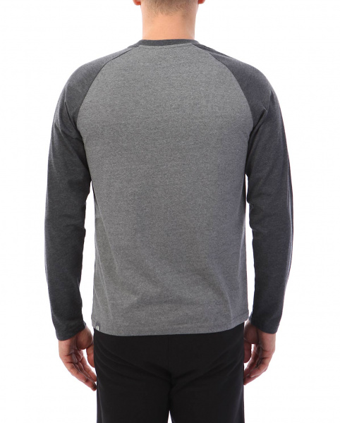 Футболка с длинным рукавом The North Face T-Shirt Grey 90 10 (XL серый золотой)