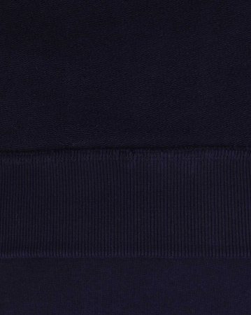 Толстовка мужская свитшот Dickies 1922 Briggsville (L синий)