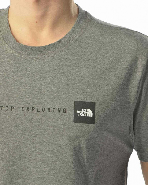 Футболка The North Face Never Stop Exploring (XL серый золотой)