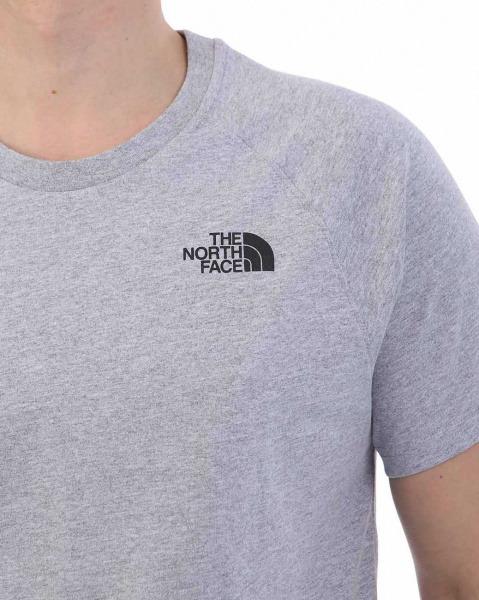 Футболка The North Face 000035542 (L серый золотой)