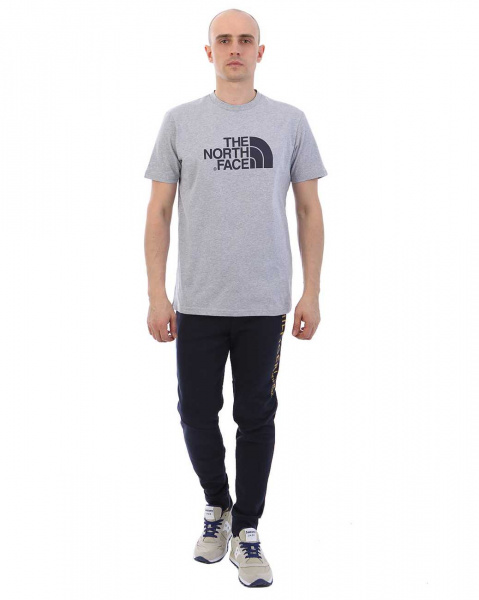 Футболка The North Face 000035551 000036751 (M серо-синий)