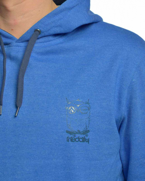 Толстовка мужская с капюшоном Iriedaily Sk8 Owl (L темно-голубой)