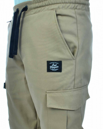 Джоггеры мужские на флисе Cool Penguin JMTL 1713W (Beige XL)