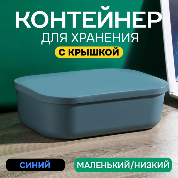 Контейнер АЛИ ЧАЙНА, SH179, 3.6 L (3.6 L синий низкий маленький)