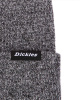 Шапки вязанная Dickies 1922 Tyner (OS черный)