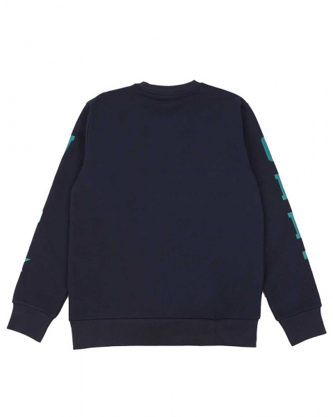 Толстовка свитшот Carhartt Shade Sweat (M синий)