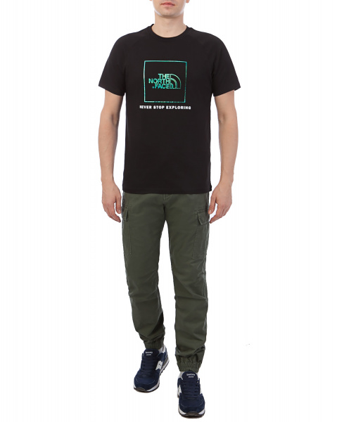 Футболка мужская The North Face Metallic Brand Print Iridiscent (XS черный)