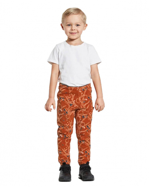 Брюки детские MONTE PR GRANELITO 504478 (506 снегири на оранжевом, 90)