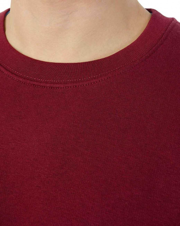 Толстовка свитшот Champion Authentic American EM006 RS509 (M бордовый)