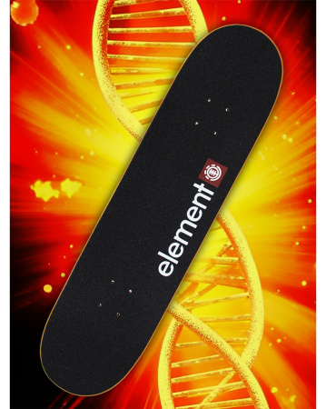 Дека Element Canada 8.25 с покрытием 2 (ДНК, 8.25)