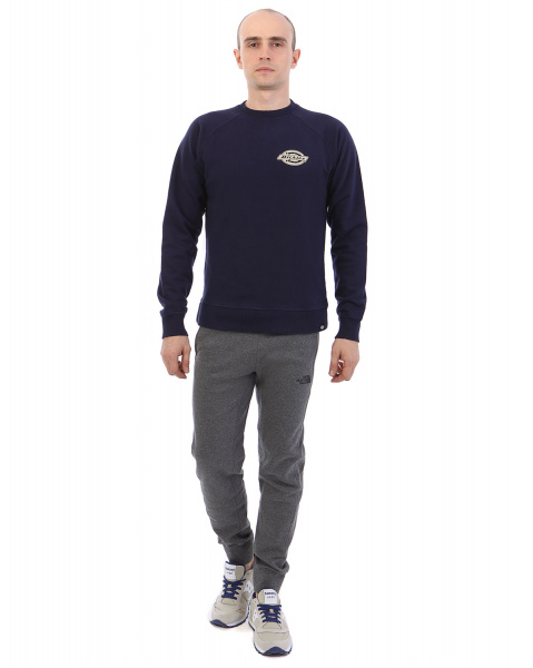Толстовка мужская свитшот Dickies 1922 Briggsville (L синий)