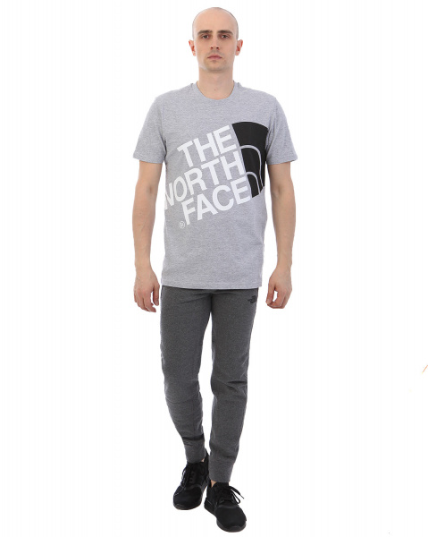 Футболка The North Face 000035512 (L серый золотой)