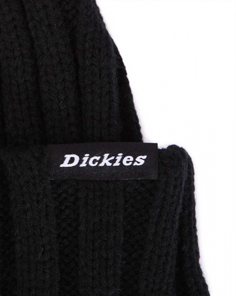 Шапка вязаная Dickies Eagles Mere (OS черный)