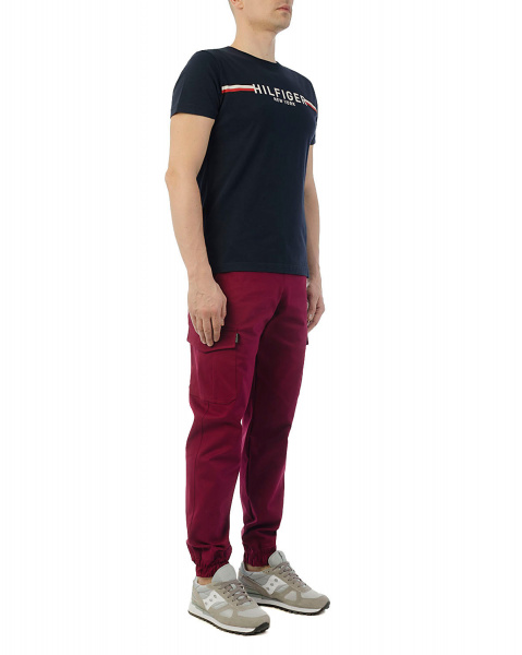 Джоггеры мужские Cool Penguin JMP 1713 (Red Wine XXS)