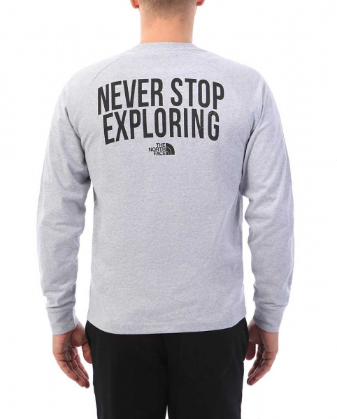 Футболка с длинным рукавом The North Face NSE T-Shirt Light Grey 90 10 (M серый светлый)